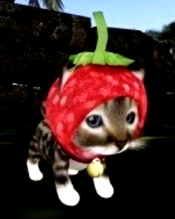 lyracr0w0 instagram image archive image