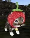 lyracr0w0 Altpins Profile Picture