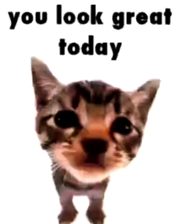 lyracr0w0 instagram image archive image