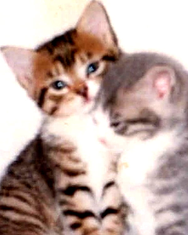 lyracr0w0 instagram image archive image