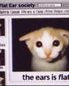 lyracr0w0 Altpins Profile Picture