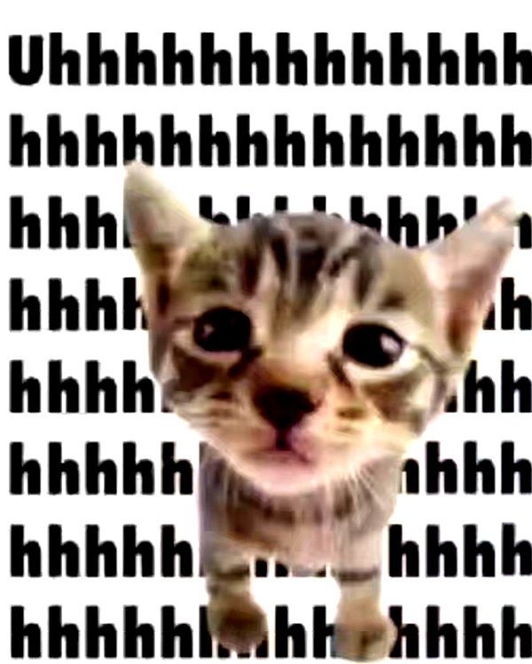 lyracr0w0 instagram image archive image