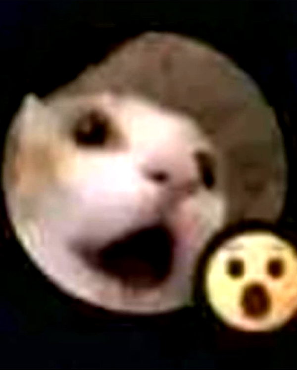 lyracr0w0 instagram image archive image