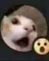 lyracr0w0 Altpins Profile Picture