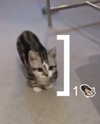 lyracr0w0 Altpins Profile Picture