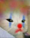 lyracr0w0 Altpins Profile Picture