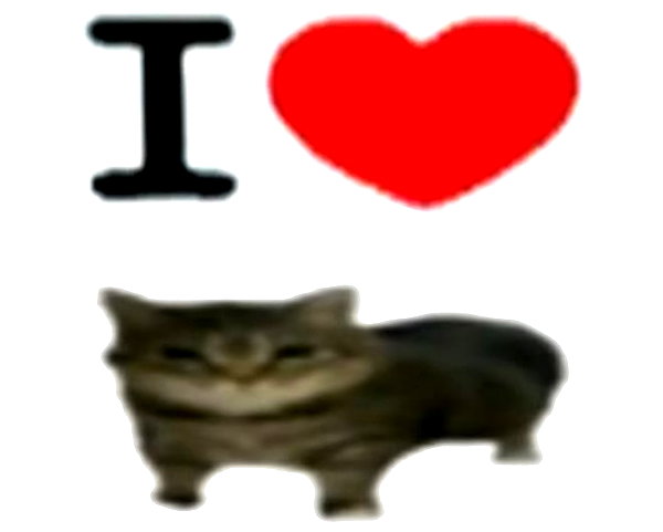 lyracr0w0 instagram image archive image
