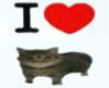 lyracr0w0 Altpins Profile Picture