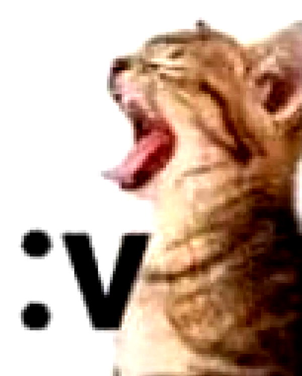 lyracr0w0 instagram image archive image