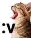 lyracr0w0 Altpins Profile Picture