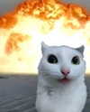 lyracr0w0 Altpins Profile Picture