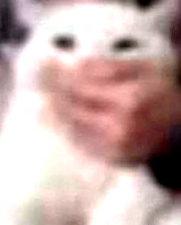 lyracr0w0 instagram image archive image