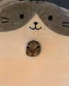 lyracr0w0 Altpins Profile Picture