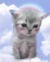 lyracr0w0 Altpins Profile Picture