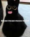 lyracr0w0 Altpins Profile Picture
