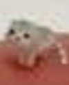 lyracr0w0 Altpins Profile Picture