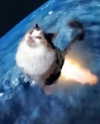 lyracr0w0 Altpins Profile Picture