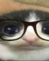 lyracr0w0 Altpins Profile Picture