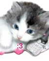 lyracr0w0 Altpins Profile Picture