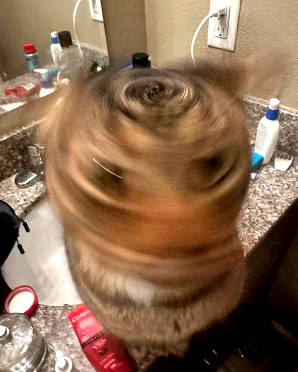lyracr0w0 instagram image archive image