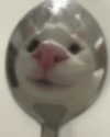 lyracrowo Altpins Profile Picture