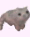 lyracrowo Altpins Profile Picture