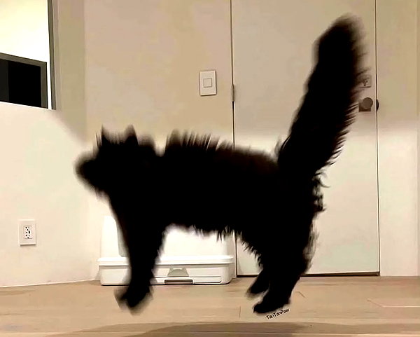 lyracrowo instagram image archive image