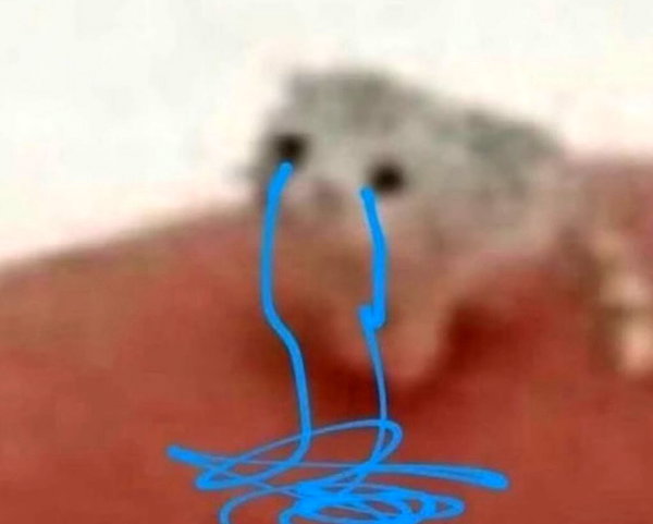 lyracrowo instagram image archive image