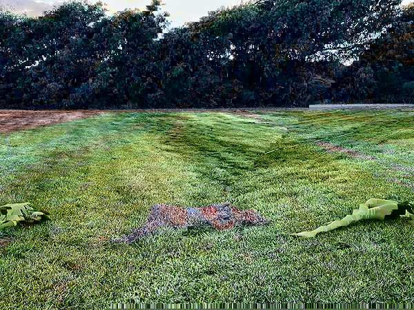 m1ry2m_ m1ry2m_ archive image