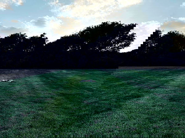 m1ry2m_ m1ry2m_ archive image