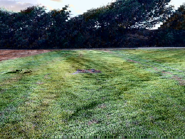 m1ry2m_ m1ry2m_ archive image