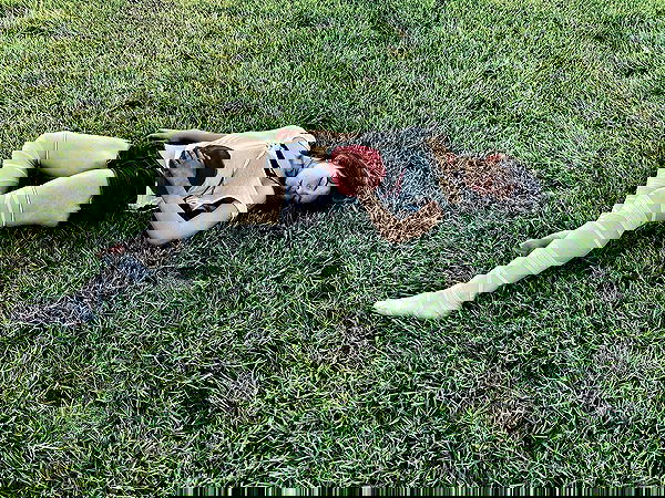 m1ry2m_ m1ry2m_ archive image