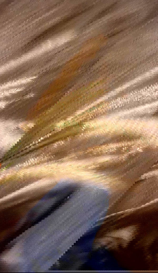 m1ry2m_ m1ry2m_ archive image