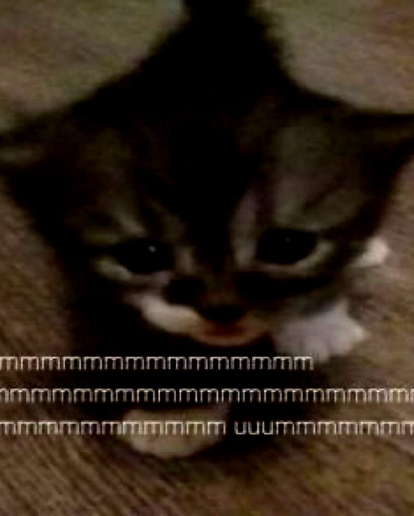 m3oww0_o instagram image archive image