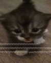 m3oww0_o Altpins Profile Picture