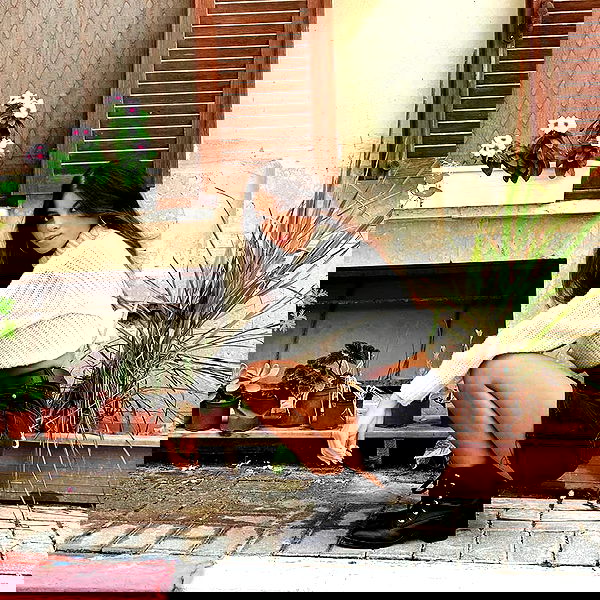 maayan.shaibi image ~ Altpins