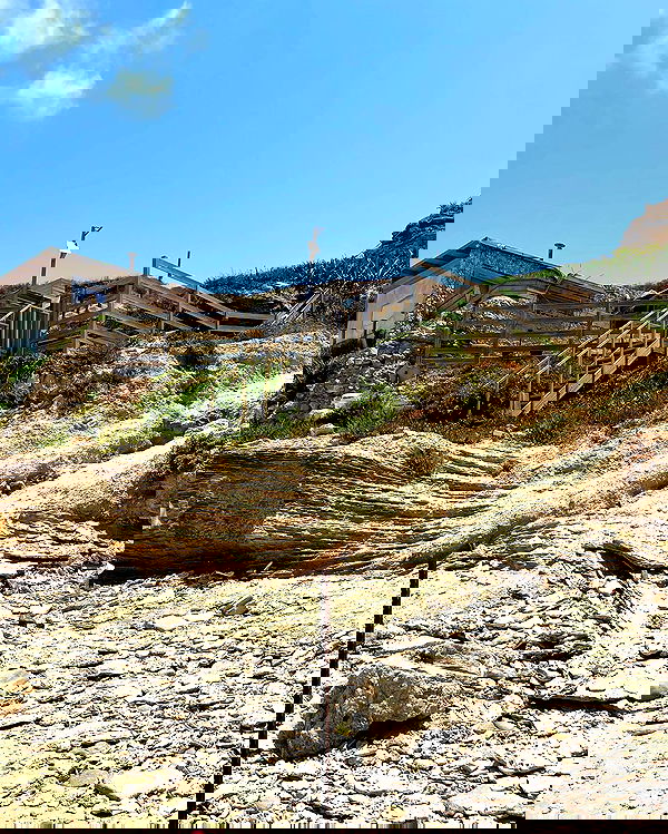 maayan.shaibi image ~ Altpins