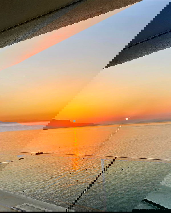 maayan.shaibi image ~ Altpins