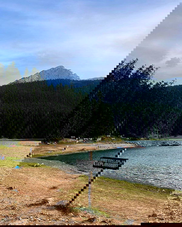 maayan.shaibi image ~ Altpins