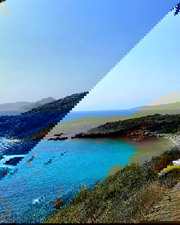 maayan.shaibi image ~ Altpins