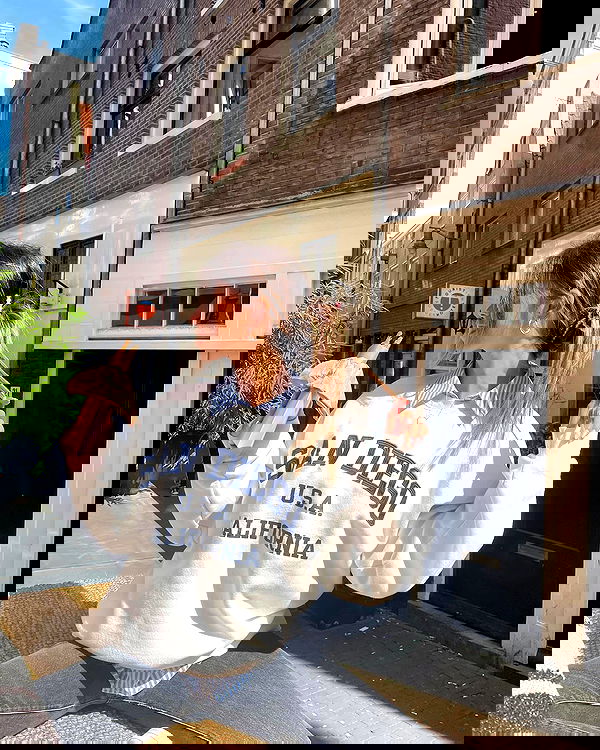 maayan.shaibi image ~ Altpins