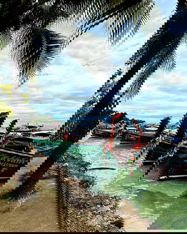 maayan.shaibi image ~ Altpins