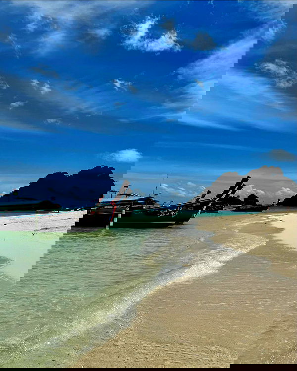 maayan.shaibi image ~ Altpins