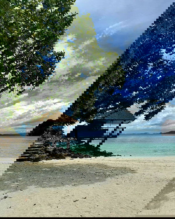 maayan.shaibi image ~ Altpins