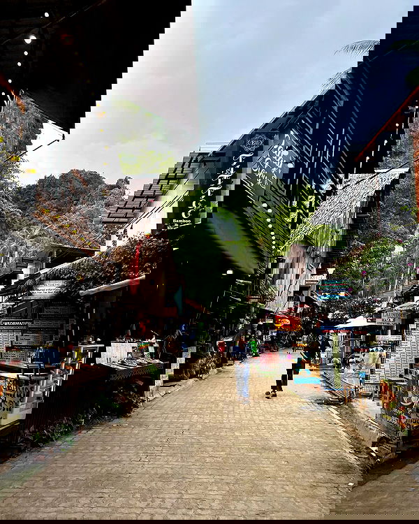 maayan.shaibi image ~ Altpins