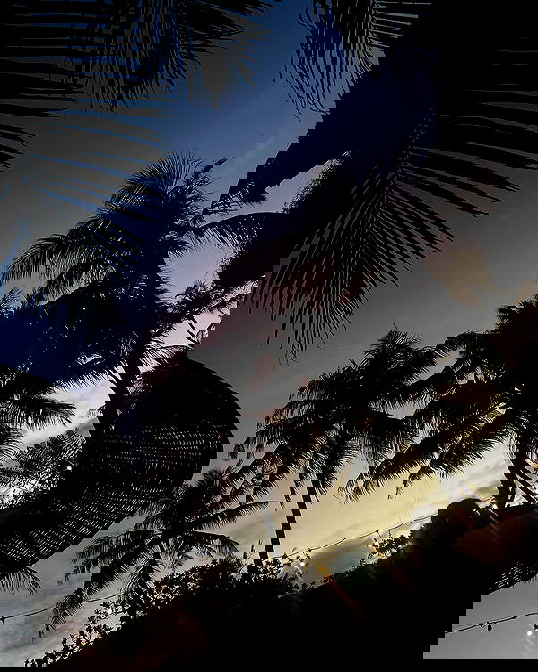 maayan.shaibi image ~ Altpins