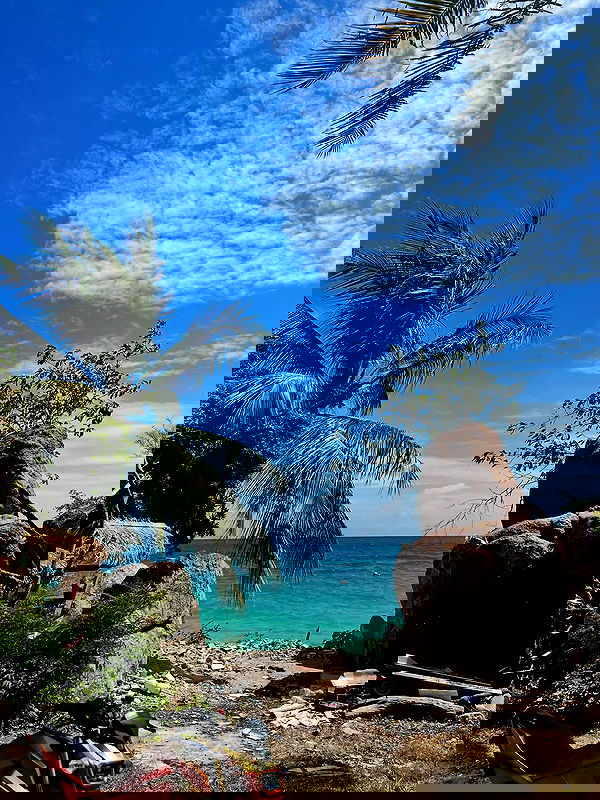 maayan.shaibi image ~ Altpins