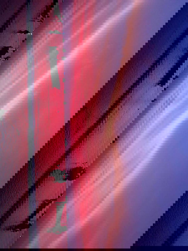 maayan.shaibi image ~ Altpins