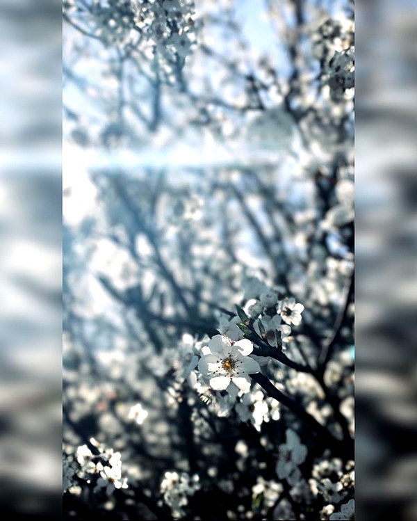macezayuri instagram image archive image
