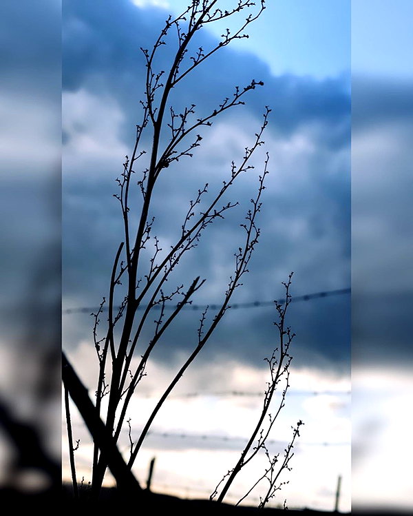macezayuri instagram image archive image
